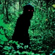 „Dėdė Būnmis, kuris prisimena savo praeitus gyvenimus“, rež. Apichatpong Weerasethakul